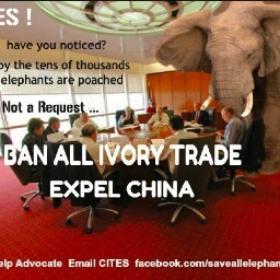 ruthvereecke1's profile picture. Animallover, animal activist, saving animals, dreamer, reader, helping people, traveller,... designer and I adore fashion: a passion for living!!!