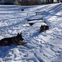 Steve Bukowski - @bukowski_steve - Twitter