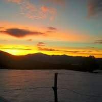 Rita Casals (@casalsrita) 's Twitter Profile Photo