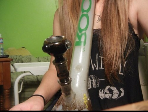 shesapothead's profile picture. I get high. :)