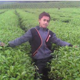 AnandaAbis's profile picture. @ananda