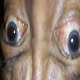 BluEyedBlackMan's profile picture. Michigan State University  Las Vegas, NV  Horse Racing, Computers, Politics, Universal Healthcare and Advocate of FAIRNESS.  #NoDemUnder1k