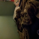 Marissa Caldwell - @cubanrose9 - Twitter