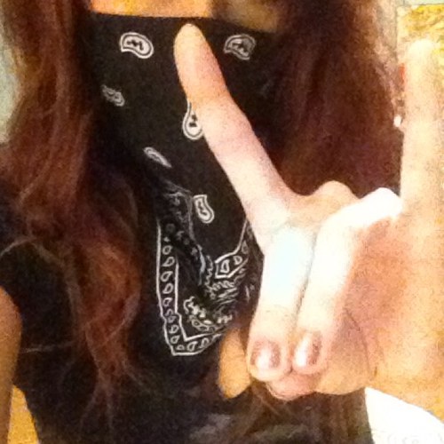 wolfpackyall's profile picture. 