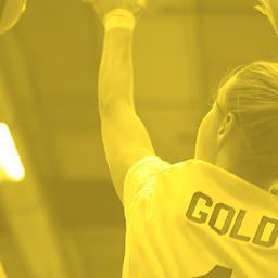 The RVC Gold Volleyball Team is an elite squad of 10 female athletes aged 17 and under competing at local, prov., and national levels during the 2013 season.