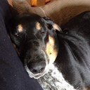 Randy Beck - @rcbeck70 - Twitter