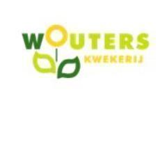 Kwekerij Wouters is een familiebedrijf, met ruim 25 jaar teeltkennis van seizoensplanten. Nieuw is de productlijn Festival Colours