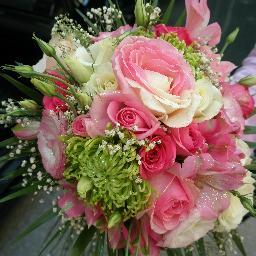 NenaPapadopoul1's profile picture. 