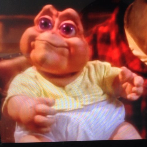 Tipicoque1's profile picture. Por es......tipico que.......