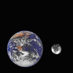 NiyieSonuga's profile picture. Sports Marketing & Merchandising