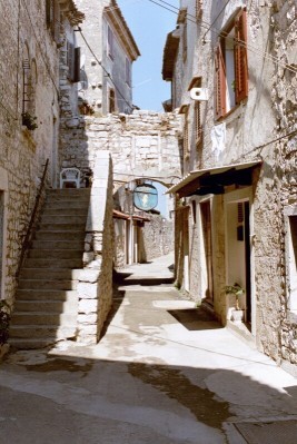 giolgio's profile picture. 