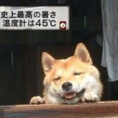 kohjinzz's profile picture. どうもー！イケメンではなく、グルメンのコージンです！
美味しいものを食べることが人生の幸せ！だと思います（≧∇≦）
自分の好きなものを発信していけたらなと思います！
趣味は、ラーメン/カレー/漬物/丼です。今までで唯一食べれなかったのはパクチー。どうぞよろしくお願いします！