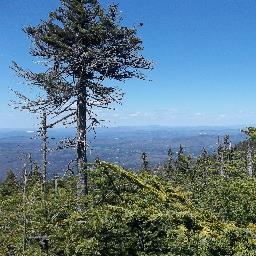 Funny videos, upbeat, light hearted blog, outdoors, photos, science, stories, classic tv. Spreading good natured family friendly info + entertainment. Local NH