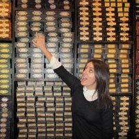 Melissa Bovis (@melissabovis) 's Twitter Profile
