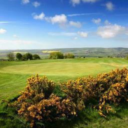 LGCSCRATCHTEAM's profile picture. The Lewes GC Scratch Team. Always on the lookout for a sponsor or official corporate partner.