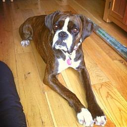 NickyMorris6's profile picture. Raising money for the breast cancer unit at the Princess Royal Telford