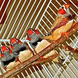 abdulah91's profile picture. 