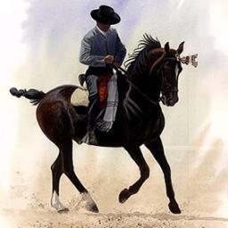 caballos_toros's profile picture. Soy jinete vaquero; el Caballo es mi ilusión, la Marisma mi manía, la Garrocha mi afición y el Fandango mi alegría.