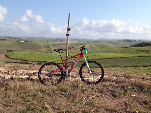 howardpup's profile picture. Thankful to God for everything and every https://t.co/Nzec4B2WHa South Africa and all her beautiful people.