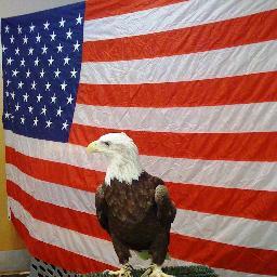 Captkeven's profile picture. you ain't gettin the guns. USAF 92-96, former SWAT team member.