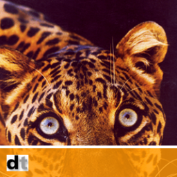 DTEnergyWatch's profile picture. Technology solutions for the energy market