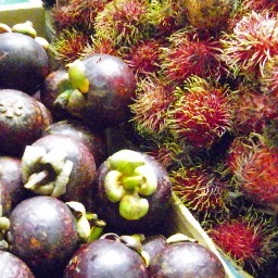 Always seeking good food, bold wines and great travel deals.