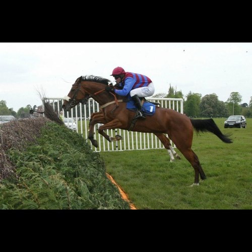 Born 1990. Point to point jockey