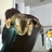 megabitz22's profile image
