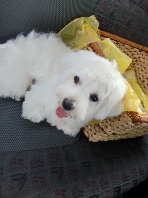 MarvinFoong's profile picture. 