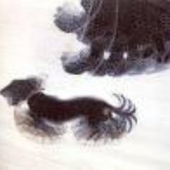ZZAAKK1's profile picture. 