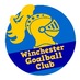 Winchester Goalball (@WinchGoalball) Twitter profile photo