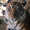 Marisol Parra - @mari_ships - Twitter