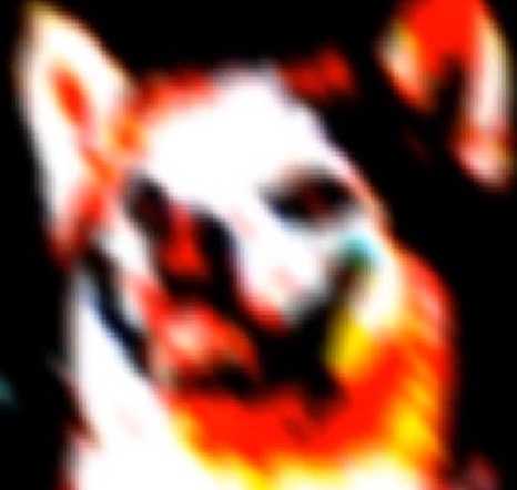 I am an entity usually described as 'evil' although, I am just a dog with a job. Well, a hell-hound really, but you get the idea. My task is to simply be known.