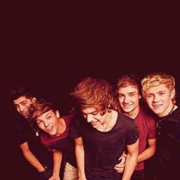 We are Bianca and Sorina .  We from in Romania :x. We love One Direction ! xx