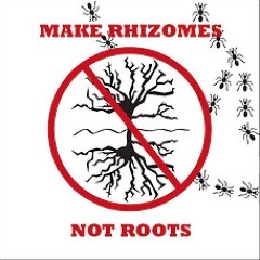 Randy_Marcuse's profile picture. Lover of social science, smooth jazz, and free food.