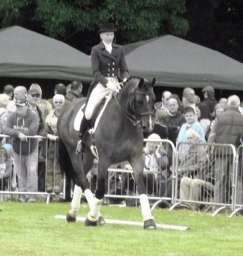 WalktoCanter's profile picture. Walk to Canter is a tack shop based in beautiful North Essex. We run alongside a busy dressage yard where rider & trainer Gillian Portus is based.