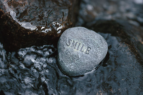 We were fearfully made to learn, love boldly and live forever.