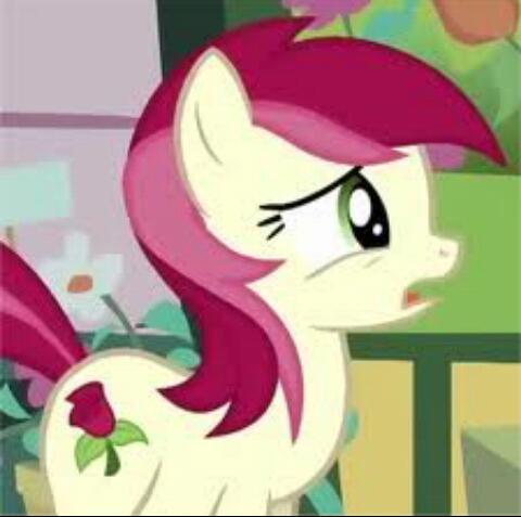 hi im RoseLuck but everypony calls me rose for short i love doing poems and i love flowers!!#single