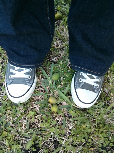 melidreams's profile picture. Soylent Green is people.