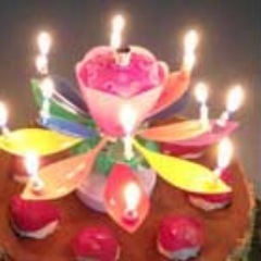 Looking for the most creative way to celebrate someone's birthday? Look no further.