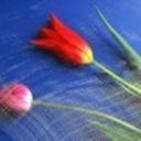 Marcus Jackson - @MarcusJack556 - Twitter