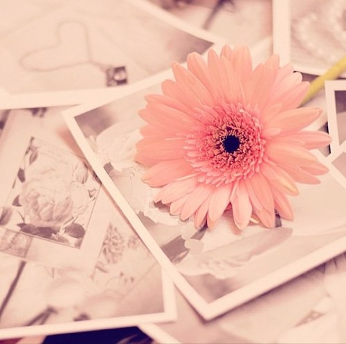 areej_af's profile picture. ^_^