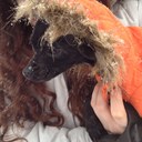 Bailey Lawrence - @BaileyLawrence4 - Twitter