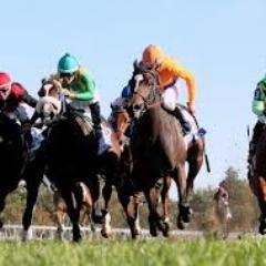 The low cost , high strike rate sports betting service that comes with guarantees . Services covering horse racing and football back& lay selections