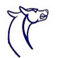 CHS Boys Track (@chsboystrack) 's Twitter Profile