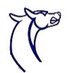 CHS Boys Track (@chsboystrack) Twitter profile photo