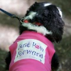 Cancer Research UK North London Fundraising Group is a friendly group of volunteers. New members and ideas welcome! Organizers of Best Paw Forward Highgate.