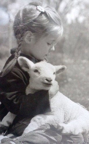 Wrapped in yarn and covered in shabby vintage always collecting and searching.  Purveyor on Etsy
https://t.co/xD0lsAPyJY
blog writer
http://t.co/UJ4SZc1nsh