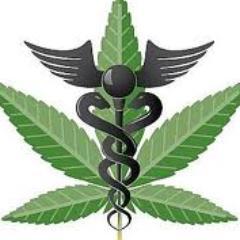 veganicvision's profile picture. http://t.co/P2NUWTKggd is a new blog about everything weed. I love the science, culture and politics of cannabis. Also have video reviews of mmj on YouTube.