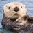 Gant4Olson's profile image
